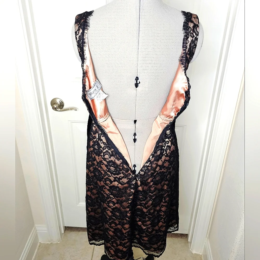 Classy Eliza J New York Black Lace & Nude Champagne Elegant Lady Cocktail Dress - Picture 13 of 15